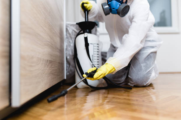 Best Pest Removal Services  in Pamplico, SC