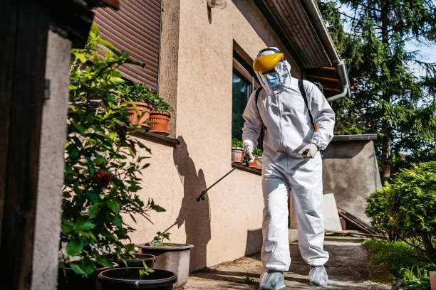 Best Pest Control for Restaurants  in Pamplico, SC