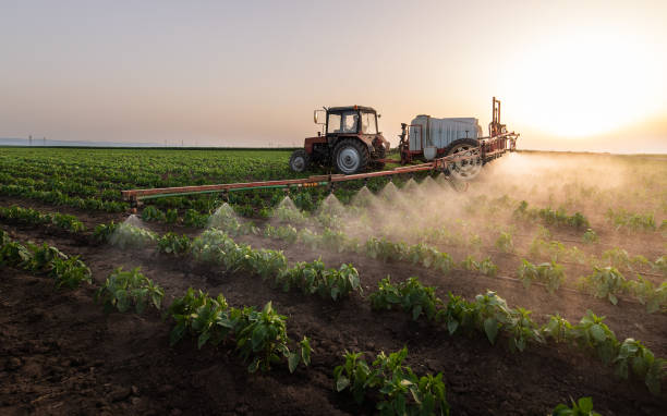 Best Pest Prevention Services  in Pamplico, SC