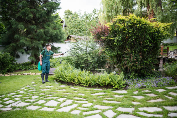 Best Pest Control Near Me  in Pamplico, SC