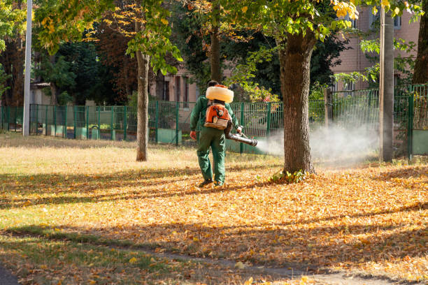 Best Residential Pest Control  in Pamplico, SC