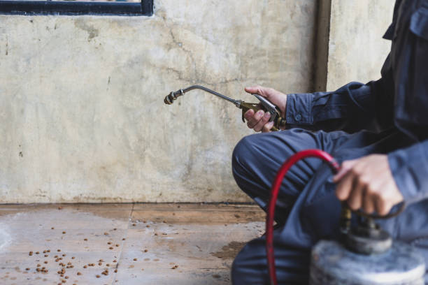 Best Flea Control Services  in Pamplico, SC